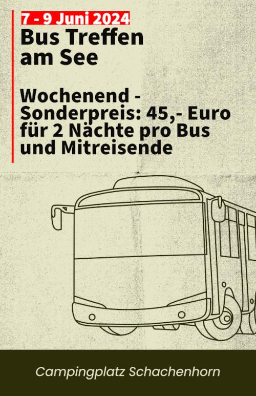 Bus Treffen am Campingplatz Schachenhorn